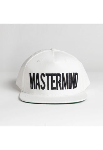 The Bold Mastermind Snap-Back Hat: Bone