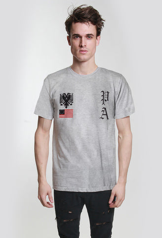 Star Crest Tee in Heather Gray